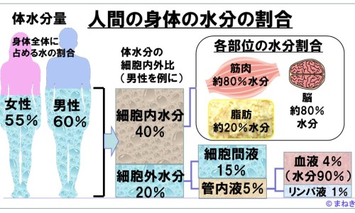 脸上涂了柠檬 留下疤痕怎么去除、脸上涂了柠檬 留下疤痕怎么办 -脸上涂了柠檬 留下疤痕网